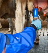 12 ZASAD HIGIENY DOJU